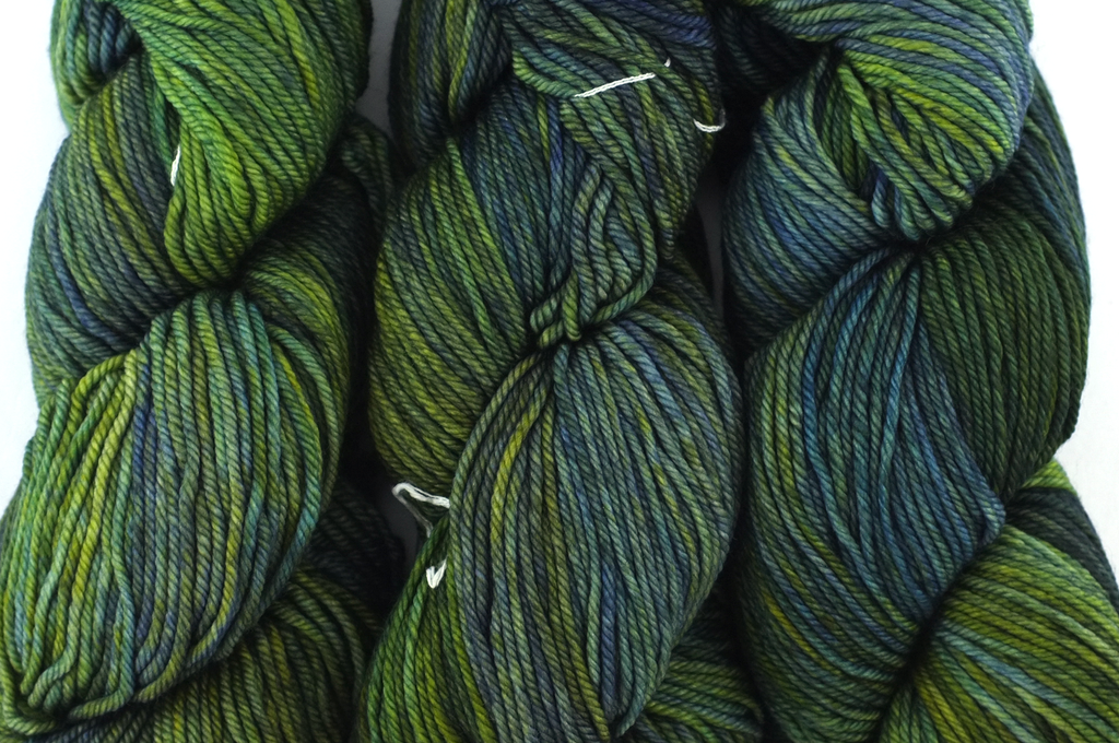 Malabrigo Rios in color Hojas, Merino Wool Worsted Weight Knitting Yarn, leafy greens, #880