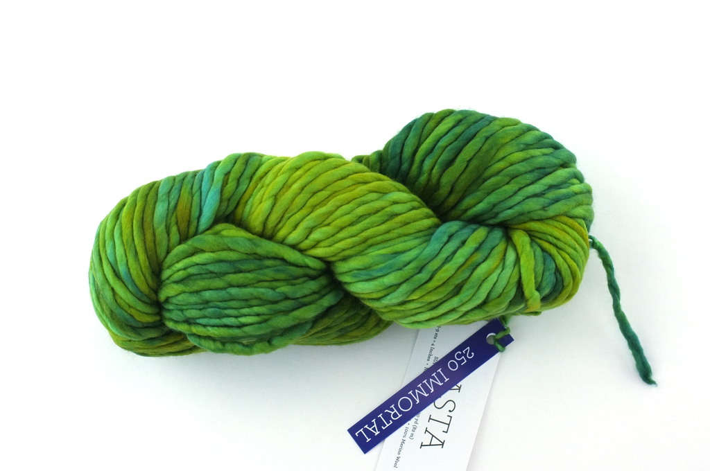 Malabrigo Rasta in color Immortal, Merino Wool Super Bulky Knitting Yarn, bright greens, #250 - Purple Sage Yarns
